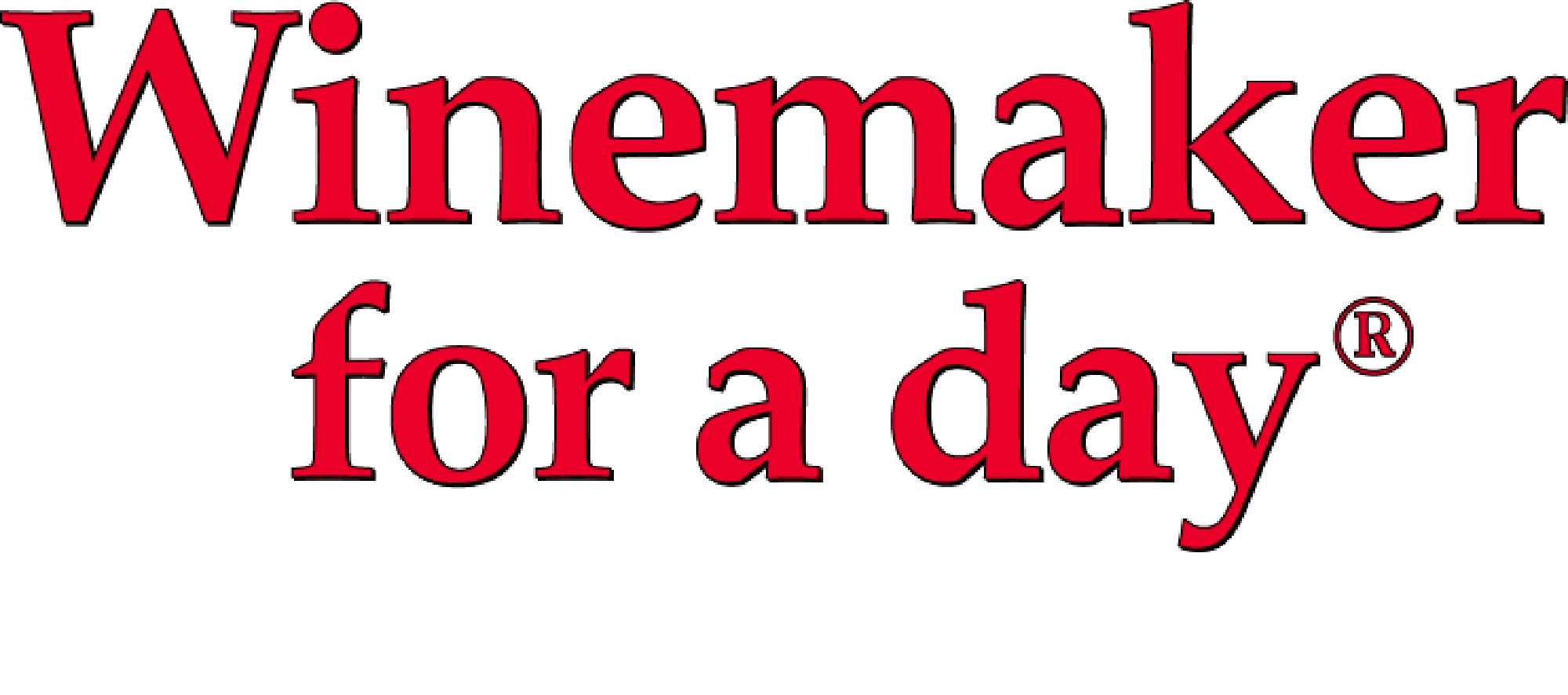 Winemaker for a day ® Franschhoek